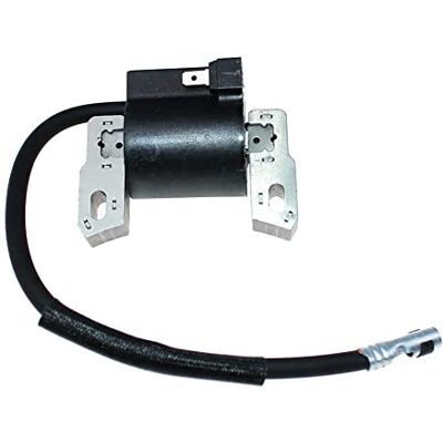 Generic Armature Magneto Bobine d'allumage pour tondeuse Briggs & Stratton 595554 796499 592335 799645 796499 793449 Generic Armature Magneto Bobine d'allumage pour tondeuse Briggs & Stratton 595554 796499 592335 799645 796499 793449