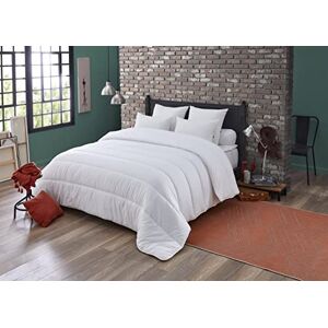 DODO Couette Chaude Anti-acariens 220x240 Pour lit 2 Personnes Couette Saniprotect Protection Efficace et Ultra douce Fabriqué en FRANCE Lavable en machine à 40°c DODO Couette Chaude Anti-acariens 220x240 Pour lit 2 Personnes Couette Saniprotect Protection Efficace et Ultra douce Fabriqué en FRANCE Lavable en machine à 40°c