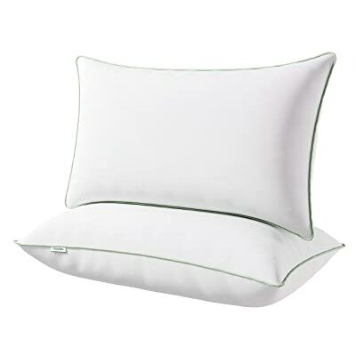 Novilla Oreiller 40x80 Lot de 2 Coussin Blanc Garnissage 100% Fibre Polyester Bon Soutien du Cou Oreillers Dodo Moelleux pour Hotellerie Lit Canapé Respirant et Doux Carré avec Fermeture Éclair Novilla Oreiller 40x80 Lot de 2 Coussin Blanc Garnissage 100% Fibre Polyester Bon Soutien du Cou Oreillers Dodo Moelleux pour Hotellerie Lit Canapé Respirant et Doux Carré avec Fermeture Éclair