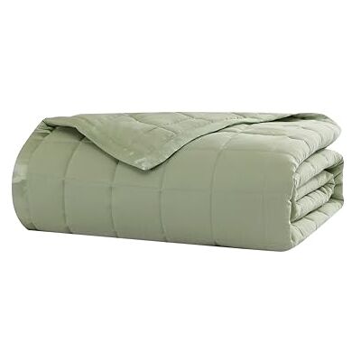 Beatrice Home Fashions Couverture alternative en duvet de couleur unie, lit double/grand lit, sauge Beatrice Home Fashions Couverture alternative en duvet de couleur unie, lit double/grand lit, sauge