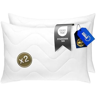 FH FAM' HOME HOME COSINESS FAM' Home Lot de 2 coussins de luxe, 50 x 60 cm, rembourrage en volume (600 g) Coussins de couchage ergonomiques blancs Entretien facile Pour personnes allergiques 50 x 60 cm Lavables FH FAM' HOME HOME COSINESS FAM' Home Lot de 2 coussins de luxe, 50 x 60 cm, rembourrage en volume (600 g) Coussins de couchage ergonomiques blancs Entretien facile Pour personnes allergiques 50 x 60 cm Lavables