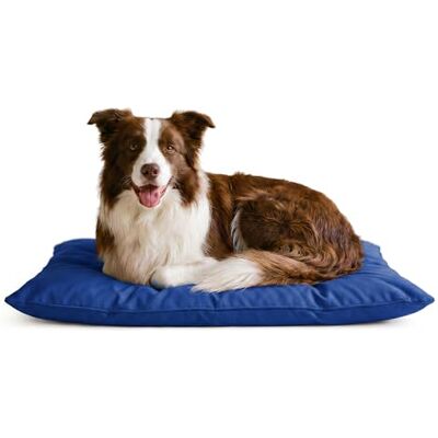 Italian Bed Linen Dogs Maxy Pillow 60x100cm, Royal Italian Bed Linen Dogs Maxy Pillow 60x100cm, Royal