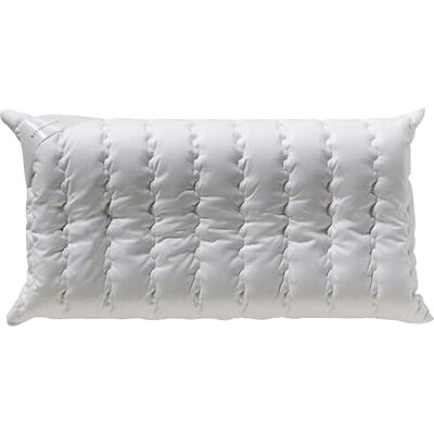 Billerbeck Oreiller S20 Visco Coussin de nuque 40 x 80 cm Coussin de soutien de la nuque avec noyau en viscose haute technologie Billerbeck Oreiller S20 Visco Coussin de nuque 40 x 80 cm Coussin de soutien de la nuque avec noyau en viscose haute technologie