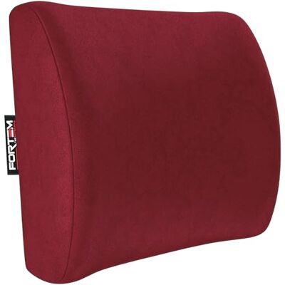 FORTEM Coussin de Soutien Lombaire, Oreiller Dorsal pour Chaise Bureau et Siège Auto, Appui Dos Gaming, Mousse Mémoire, Housse Respirante Lavable, Sangles Réglables FORTEM Coussin de Soutien Lombaire, Oreiller Dorsal pour Chaise Bureau et Siège Auto, Appui Dos Gaming, Mousse Mémoire, Housse Respirante Lavable, Sangles Réglables