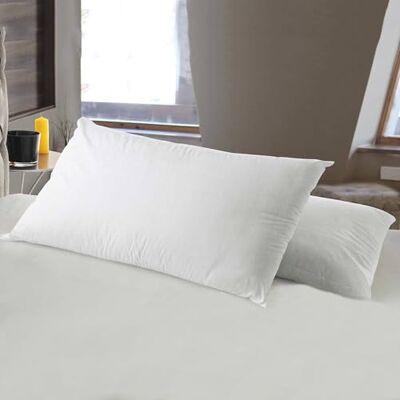 Talamo Italia Lot de 2 coussins, fabriqué en Italie, coussin amovible en mousse à mémoire de forme, hypoallergénique et respirant, 71 x 41 x 13 cm Talamo Italia Lot de 2 coussins, fabriqué en Italie, coussin amovible en mousse à mémoire de forme, hypoallergénique et respirant, 71 x 41 x 13 cm