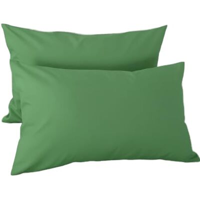 H HANSEL HOME Lot de 2 taies d'oreiller 45 x 70 cm pour coussin de lit en 100 % microfibre avec fermeture éclair, housse de coussin souple et transparent Vert clair H HANSEL HOME Lot de 2 taies d'oreiller 45 x 70 cm pour coussin de lit en 100 % microfibre avec fermeture éclair, housse de coussin souple et transparent Vert clair