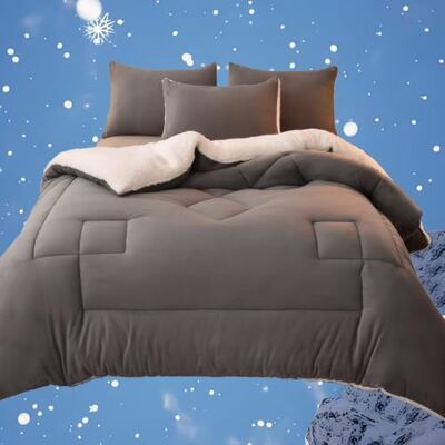 XHCTNN Couverture d'hiver pour très grand lit Couette polaire en fausse fourrure Parure de lit d'hiver épaisse super douce (B, 200 x 230 cm/4 kg) XHCTNN Couverture d'hiver pour très grand lit Couette polaire en fausse fourrure Parure de lit d'hiver épaisse super douce (B, 200 x 230 cm/4 kg)