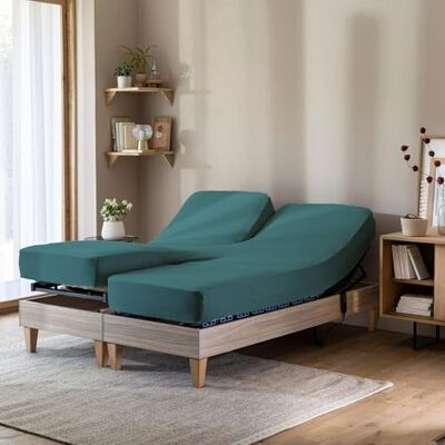 Terre de Nuit Drap Housse émeraude pour lit articulé Jersey Extensible 2x80x200 Terre de Nuit Drap Housse émeraude pour lit articulé Jersey Extensible 2x80x200