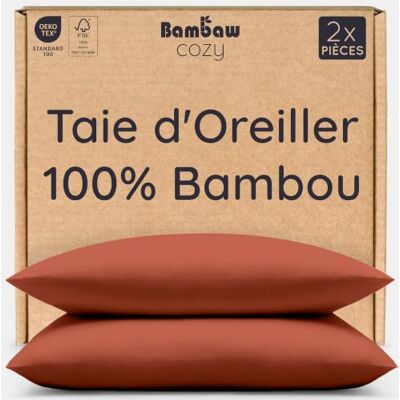 Bambaw Taie Oreiller 65x65 Bambou, Lot de 2, Taie d'Oreiller Anti Transpiration et Antibactérienne, Drap Bambou Rafraichissant, Anti Acariens Literie, Drap Fraicheur et Thermorégulateur (Terracotta) Bambaw Taie Oreiller 65x65 Bambou, Lot de 2, Taie d'Oreiller Anti Transpiration et Antibactérienne, Drap Bambou Rafraichissant, Anti Acariens Literie, Drap Fraicheur et Thermorégulateur (Terracotta)
