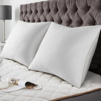 BedStory Oreiller 65x65 (2 Pièces) Qualité Hôtelière de Luxe Oreiller avec Housse en Fibres de Bambou Amovibles Anti-acariens Hypoallergé BedStory Oreiller 65x65 (2 Pièces) Qualité Hôtelière de Luxe Oreiller avec Housse en Fibres de Bambou Amovibles Anti-acariens Hypoallergé