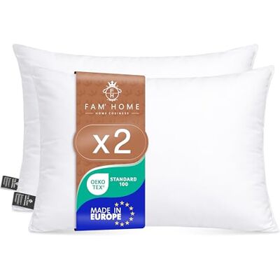 FH FAM' HOME HOME COSINESS FAM Home Oreiller 50x70 Lot de 2 Anti Acarien I Coussin Rectangulaire Moelleux Microfibre Douces Hypoallergenique Entretien Facile FH FAM' HOME HOME COSINESS FAM Home Oreiller 50x70 Lot de 2 Anti Acarien I Coussin Rectangulaire Moelleux Microfibre Douces Hypoallergenique Entretien Facile