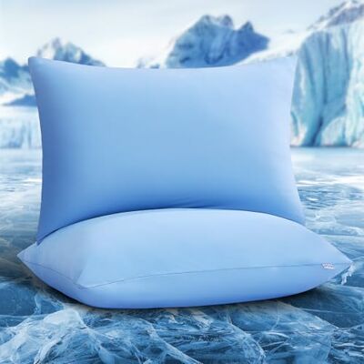 Luxear Lot de 2 Taies d'oreiller Rafraîchissantes Elastiques avec Refroidissement Arc-Chill Respirantes,Housses de Coussin Soyeuses avec Fermeture Eclair, 40 x 80 cm, Bleu Luxear Lot de 2 Taies d'oreiller Rafraîchissantes Elastiques avec Refroidissement Arc-Chill Respirantes,Housses de Coussin Soyeuses avec Fermeture Eclair, 40 x 80 cm, Bleu