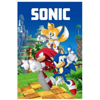 Jerry Fabrics Sonic Knuckels Miles Prower Couverture polaire 100 x 150 cm 100 % polyester Jerry Fabrics Sonic Knuckels Miles Prower Couverture polaire 100 x 150 cm 100 % polyester