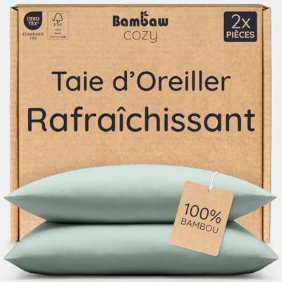 Bambaw Taie Oreiller Bambou 50 x 70 cm, Lot de 2, Taie Oreiller Rectangulaire 50x70 cm, Antibactérienne et Hypoallergenique, Drap en Bambou, Anti Acarien et Anti-Transpiration (Vert d'Eau) Bambaw Taie Oreiller Bambou 50 x 70 cm, Lot de 2, Taie Oreiller Rectangulaire 50x70 cm, Antibactérienne et Hypoallergenique, Drap en Bambou, Anti Acarien et Anti-Transpiration (Vert d'Eau)