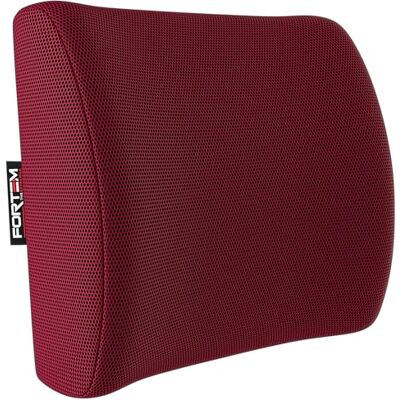 FORTEM Coussin de Soutien Lombaire, Oreiller Dorsal pour Chaise Bureau et Siège Auto, Appui Dos Gaming, Mousse Mémoire, Housse Respirante Lavable, Sangles Réglables FORTEM Coussin de Soutien Lombaire, Oreiller Dorsal pour Chaise Bureau et Siège Auto, Appui Dos Gaming, Mousse Mémoire, Housse Respirante Lavable, Sangles Réglables