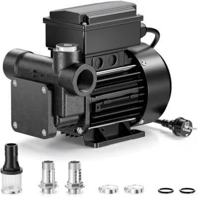 WilTec Pompe à fioul et diesel 230 V 550 W 80 l/min, pompe de transvasement auto-amorçante avec hauteur d'aspiration de 2 m et clapet anti-retour, pompe d'aspiration WilTec Pompe à fioul et diesel 230 V 550 W 80 l/min, pompe de transvasement auto-amorçante avec hauteur d'aspiration de 2 m et clapet anti-retour, pompe d'aspiration