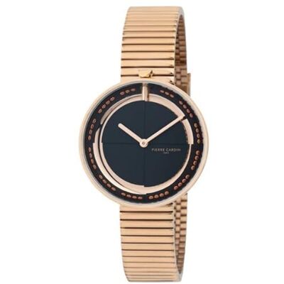 Pierre Cardin Marais CMA.0010 Mirror Montre Femme Quartz Acier Inoxydable Bracelet en Acier Inoxydable Pierre Cardin Marais CMA.0010 Mirror Montre Femme Quartz Acier Inoxydable Bracelet en Acier Inoxydable