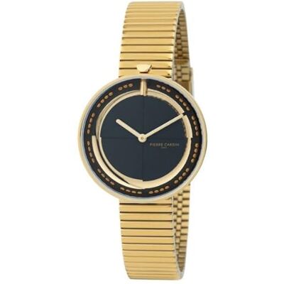 Pierre Cardin Marais Mirror CMA.0009 Montre Femme Quartz Bracelet Acier Inoxydable Bracelet, Bracelet Pierre Cardin Marais Mirror CMA.0009 Montre Femme Quartz Bracelet Acier Inoxydable Bracelet, Bracelet