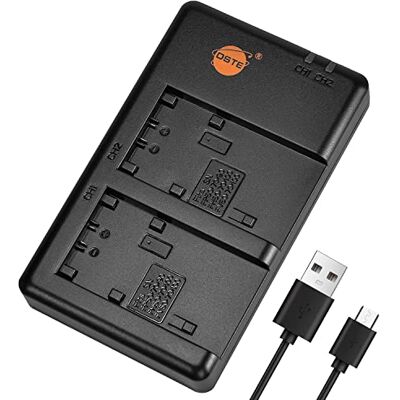 DSTE Chargeur Compatible avec Sony NP-FP50 NP-FP51 NP-FP70 NP-FP90 NP-FH50 NP-FH100 NP-FV50 NP-FV70 NP-FV100 DSTE Chargeur Compatible avec Sony NP-FP50 NP-FP51 NP-FP70 NP-FP90 NP-FH50 NP-FH100 NP-FV50 NP-FV70 NP-FV100