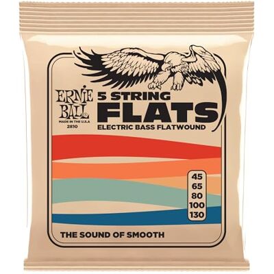 Ernie Ball Cordes à filet plat, pour basse électrique à 5 cordes, calibre 45-130 Ernie Ball Cordes à filet plat, pour basse électrique à 5 cordes, calibre 45-130