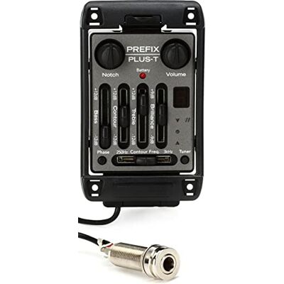Fishman Prefix Plus-T format large Fishman Prefix Plus-T format large