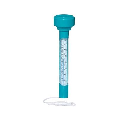 Bestway Flowclear Thermomètre flottant pour piscine Gris 5 x 5 x 19 cm Bestway Flowclear Thermomètre flottant pour piscine Gris 5 x 5 x 19 cm