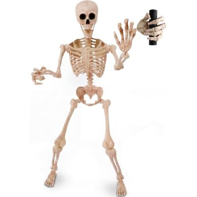 JOYIN Squelette d'Halloween de 1,5 m avec doigts mobiles, squelette grandeur nature, os réaliste avec articulations mobiles, squelette géant, décoration d'Halloween JOYIN Squelette d'Halloween de 1,5 m avec doigts mobiles, squelette grandeur nature, os réaliste avec articulations mobiles, squelette géant, décoration d'Halloween