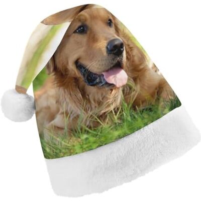 JZemdybill Chapeau de Noël, chapeau Golden Retriever pour diverses fêtes de fin d'année JZemdybill Chapeau de Noël, chapeau Golden Retriever pour diverses fêtes de fin d'année