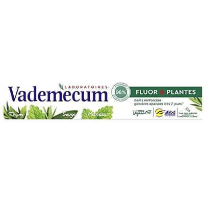 Vademecum Dentifrice Fluor Et Plantes 75Ml Lot De 4 Vendu Par Lot Vademecum Dentifrice Fluor Et Plantes 75Ml Lot De 4 Vendu Par Lot