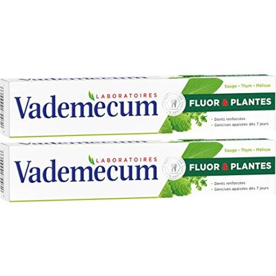 Vademecum Dentifrice Fluor et Plantes Tube 75 ml Lot de 2 Vademecum Dentifrice Fluor et Plantes Tube 75 ml Lot de 2