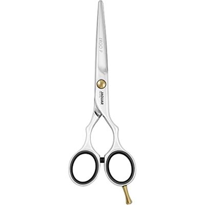 JAGUAR PRE STYLE ERGO P 6.0" Ciseaux de coiffure au design classique Poli Fabriqué en Allemagne JAGUAR PRE STYLE ERGO P 6.0" Ciseaux de coiffure au design classique Poli Fabriqué en Allemagne