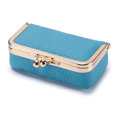 XUNRNYU Étui à rouge à lèvres avec miroir, cuir PU, fermoir Kiss-Lock, cadre doré, petite pochette cosmétique, plusieurs couleurs, bleu clair XUNRNYU Étui à rouge à lèvres avec miroir, cuir PU, fermoir Kiss-Lock, cadre doré, petite pochette cosmétique, plusieurs couleurs, bleu clair