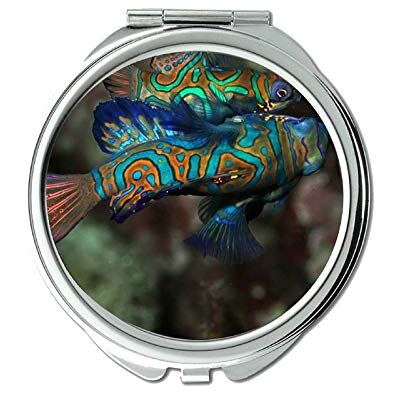YENDOSTEEN Miroir de voyage, miroir de poche, miroir portable grossissant x2 YENDOSTEEN Miroir de voyage, miroir de poche, miroir portable grossissant x2