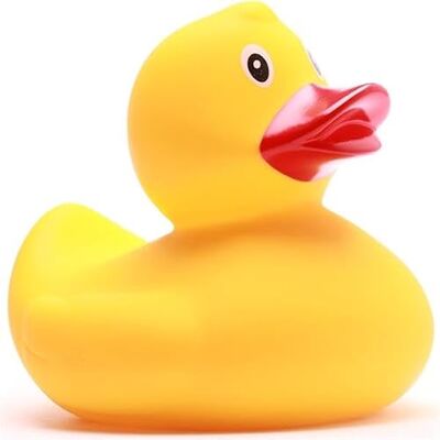 Duckshop I Canard de bain XL I Cadeau pour enfants I Collectionneur (Canard de bain Medina XL Jaune) Duckshop I Canard de bain XL I Cadeau pour enfants I Collectionneur (Canard de bain Medina XL Jaune)