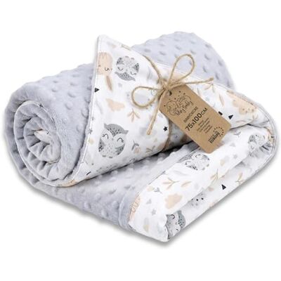 Totsy Baby Couverture bebe polaire hiver Couverture toute l'année 100x75 cm – minky coton chaude douce câline douillette enfant naissance – poussette Oeko-Tex Hiboux + Gris clair Totsy Baby Couverture bebe polaire hiver Couverture toute l'année 100x75 cm – minky coton chaude douce câline douillette enfant naissance – poussette Oeko-Tex Hiboux + Gris clair