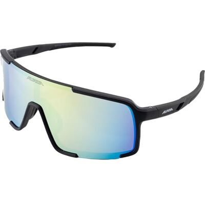 ALPINA VASBA Lunettes de sport élégantes pour adultes, mat/doré ALPINA VASBA Lunettes de sport élégantes pour adultes, mat/doré