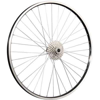 Taylor Roue arrière de 28" à chambre creuse Shimano Cues FH-QC300 Noir Cassette 9 vitesses Taylor Roue arrière de 28" à chambre creuse Shimano Cues FH-QC300 Noir Cassette 9 vitesses