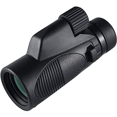DLAZUM Jumelles monoculaires haute puissance, télescope monoculaire HD extérieur 10 x 42 lentille d'observation des oiseaux, portable, pour intérieur/extérieur DLAZUM Jumelles monoculaires haute puissance, télescope monoculaire HD extérieur 10 x 42 lentille d'observation des oiseaux, portable, pour intérieur/extérieur