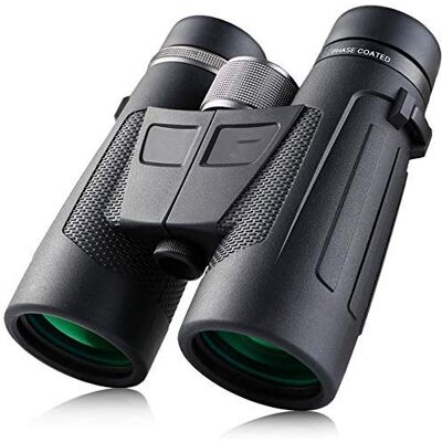 SBCGFY Télescope 10 x 42 Jumelles HD haute puissance faible niveau de lumière téléphone portable photo concert extérieur voyage aspergène étanche télescope pour l'observation des oiseaux adultes O Télescope SBCGFY Télescope 10 x 42 Jumelles HD haute puissance faible niveau de lumière téléphone portable photo concert extérieur voyage aspergène étanche télescope pour l'observation des oiseaux adultes O Télescope