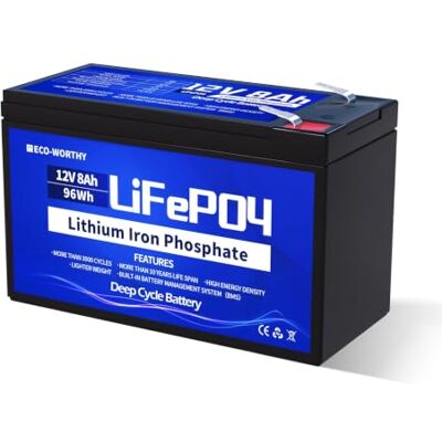 ECO-WORTHY LiFePO4 Batterie au lithium rechargeable 12 V 8 Ah avec protection BMS et plus de 3000 cycles profonds pour camping, système solaire, camping-car, sondeur, poussette, bateau, kit de panneau ECO-WORTHY LiFePO4 Batterie au lithium rechargeable 12 V 8 Ah avec protection BMS et plus de 3000 cycles profonds pour camping, système solaire, camping-car, sondeur, poussette, bateau, kit de panneau