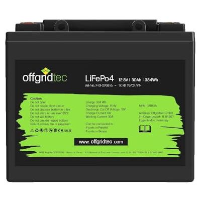 Offgridtec LifePo4 Batterie 12/30 12,8 V 30 Ah BMS intégrée 384 Wh Offgridtec LifePo4 Batterie 12/30 12,8 V 30 Ah BMS intégrée 384 Wh