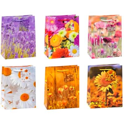 TSI 84013 Lot de 12 sacs cadeaux Motif fleurs Taille M 17,8 x 10,2 x 22,9 cm TSI 84013 Lot de 12 sacs cadeaux Motif fleurs Taille M 17,8 x 10,2 x 22,9 cm