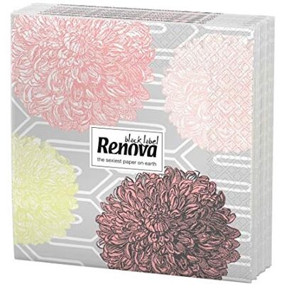 Renova Lot de 20 serviettes en papier ultra absorbantes 110 g Renova Lot de 20 serviettes en papier ultra absorbantes 110 g