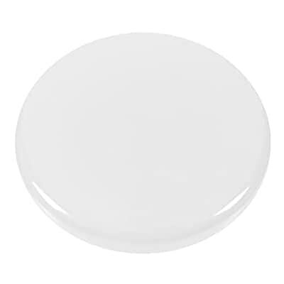 Westcott E-10816 00 Lot de 10 aimants ronds Blanc 30 mm Westcott E-10816 00 Lot de 10 aimants ronds Blanc 30 mm