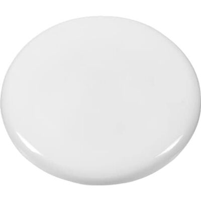 Westcott E-10824 00 Lot de 10 aimants ronds Blanc 40 mm Westcott E-10824 00 Lot de 10 aimants ronds Blanc 40 mm