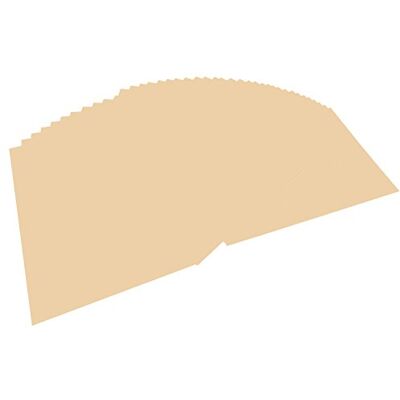 Folia Bringmann Lot de 100 feuilles de papier A4 (Chamois) (Import Royaume Uni) Folia Bringmann Lot de 100 feuilles de papier A4 (Chamois) (Import Royaume Uni)