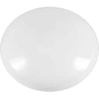 Westcott E-10808 00 Lot de 10 aimants ronds Blanc 25 mm Westcott E-10808 00 Lot de 10 aimants ronds Blanc 25 mm