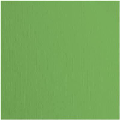 Creative Florence Lot de 20 feuilles de papier cartonné Vert 216 g/m² 30,5 x 30,5 cm Texture pour scrapbooking, fabrication de cartes, découpage et autres projets de bricolage en papier Creative Florence Lot de 20 feuilles de papier cartonné Vert 216 g/m² 30,5 x 30,5 cm Texture pour scrapbooking, fabrication de cartes, découpage et autres projets de bricolage en papier