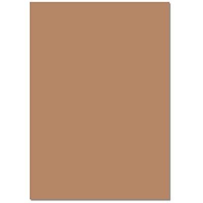 Folia 6475 Lot de 100 feuilles de papier de couleur marron cerf, format A4, 130 g/m², pour le bricolage et la création créative de cartes, d'images de fenêtre et pour le scrapbooking, marron Folia 6475 Lot de 100 feuilles de papier de couleur marron cerf, format A4, 130 g/m², pour le bricolage et la création créative de cartes, d'images de fenêtre et pour le scrapbooking, marron