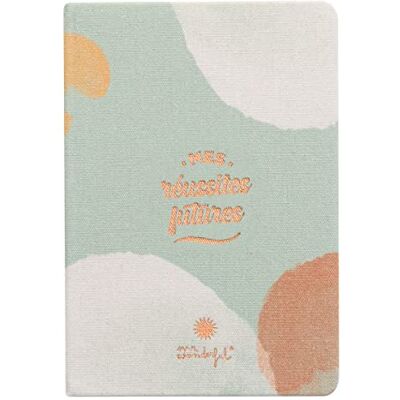 Mr. Wonderful Cahier Mes réussites futures Mr. Wonderful Cahier Mes réussites futures